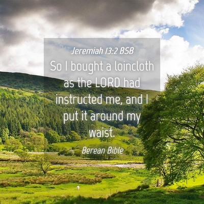 Picture 04 - Jeremiah 13:2 BSB - So I bought a loincloth as the LORD had - Bible Verse Picture
