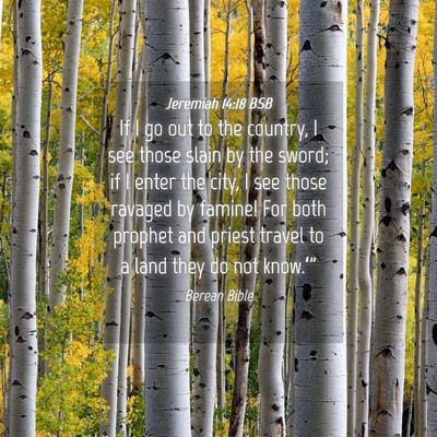 Picture 04 - Jeremiah 14:18 BSB - If I go out to the country, I see those slain by - Bible Verse Picture