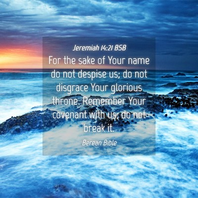Picture 04 - Jeremiah 14:21 BSB - For the sake of Your name do not despise us; do - Bible Verse Picture