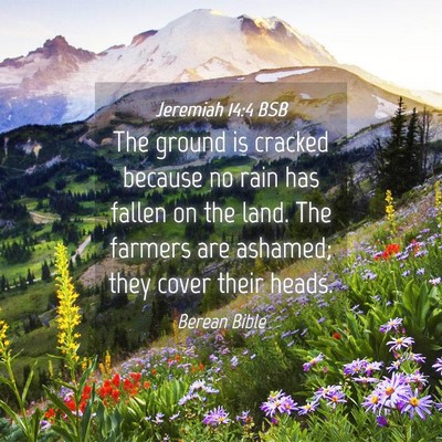 Picture 04 - Jeremiah 14:4 BSB - The ground is cracked because no rain has fallen - Bible Verse Picture