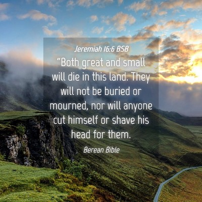 Picture 04 - Jeremiah 16:6 BSB - “Both great and small will die in this land. - Bible Verse Picture