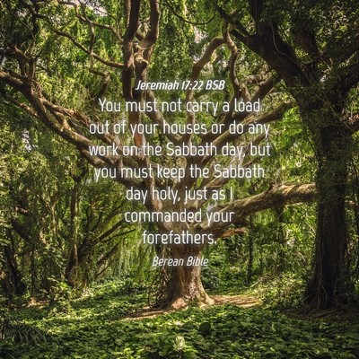 Picture 04 - Jeremiah 17:22 BSB - You must not carry a load out of your houses or - Bible Verse Picture
