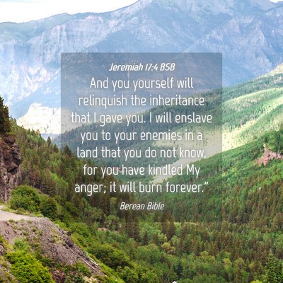 Picture 04 - Jeremiah 17:4 BSB - And you yourself will relinquish the inheritance - Bible Verse Picture