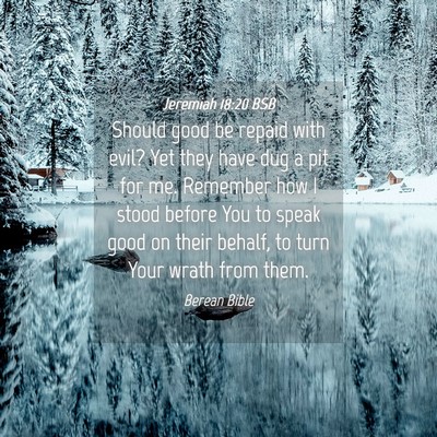 Picture 04 - Jeremiah 18:20 BSB - Should good be repaid with evil? Yet they have - Bible Verse Picture