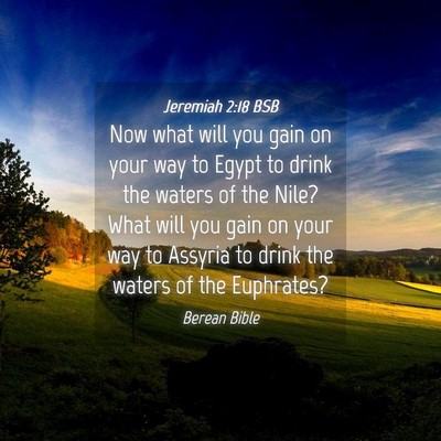 Picture 04 - Jeremiah 2:18 BSB - Now what will you gain on your way to Egypt to - Bible Verse Picture