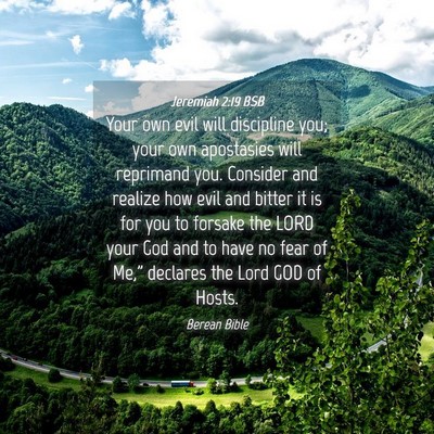 Picture 04 - Jeremiah 2:19 BSB - Your own evil will discipline you; your own - Bible Verse Picture