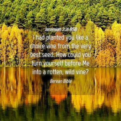 Picture 04 - Jeremiah 2:21 BSB - I had planted you like a choice vine from the - Bible Verse Picture