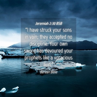 Picture 04 - Jeremiah 2:30 BSB - “I have struck your sons in vain; they accepted - Bible Verse Picture