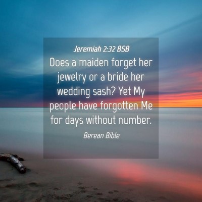 Picture 04 - Jeremiah 2:32 BSB - Does a maiden forget her jewelry or a bride her - Bible Verse Picture
