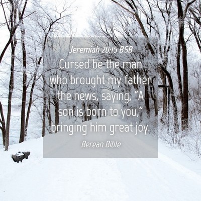 Picture 04 - Jeremiah 20:15 BSB - Cursed be the man who brought my father the news, - Bible Verse Picture