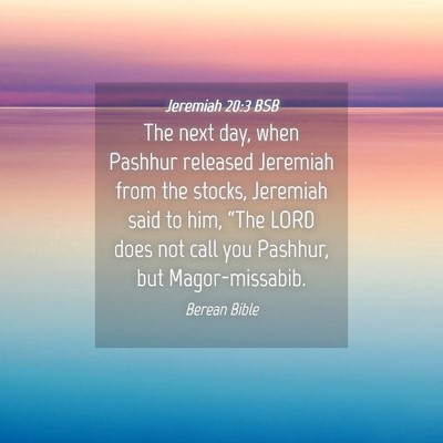 Picture 04 - Jeremiah 20:3 BSB - The next day, when Pashhur released Jeremiah from - Bible Verse Picture