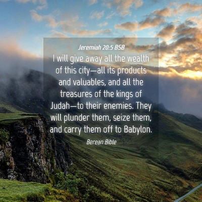 Picture 04 - Jeremiah 20:5 BSB - I will give away all the wealth of this - Bible Verse Picture