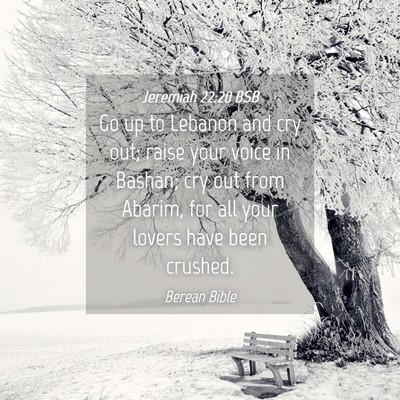 Picture 04 - Jeremiah 22:20 BSB - Go up to Lebanon and cry out; raise your voice in - Bible Verse Picture