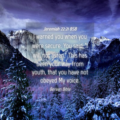 Picture 04 - Jeremiah 22:21 BSB - I warned you when you were secure. You said, ‘I - Bible Verse Picture