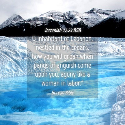Picture 04 - Jeremiah 22:23 BSB - O inhabitant of Lebanon, nestled in the cedars, - Bible Verse Picture