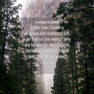 Picture 04 - Jeremiah 22:28 BSB - Is this man Coniah a despised and shattered pot, - Bible Verse Picture