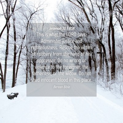 Picture 04 - Jeremiah 22:3 BSB - This is what the LORD says: Administer justice - Bible Verse Picture