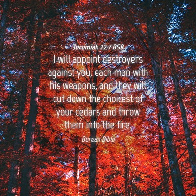 Picture 04 - Jeremiah 22:7 BSB - I will appoint destroyers against you, each man - Bible Verse Picture