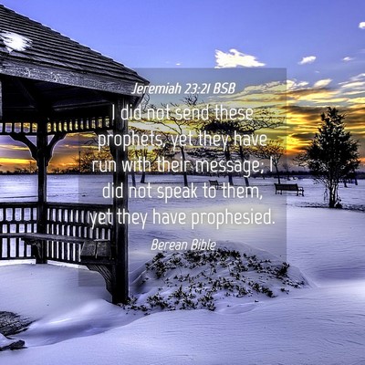 Picture 04 - Jeremiah 23:21 BSB - I did not send these prophets, yet they have run - Bible Verse Picture
