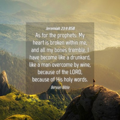 Picture 04 - Jeremiah 23:9 BSB - As for the prophets: My heart is broken within - Bible Verse Picture