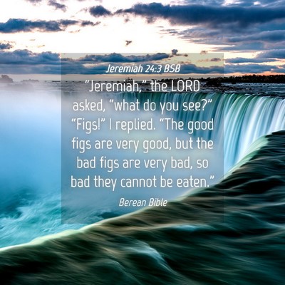 Picture 04 - Jeremiah 24:3 BSB - “Jeremiah,” the LORD asked, “what do you - Bible Verse Picture