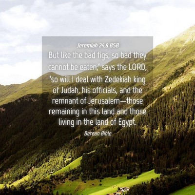 Picture 04 - Jeremiah 24:8 BSB - But like the bad figs, so bad they cannot be - Bible Verse Picture