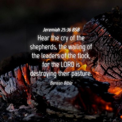 Picture 04 - Jeremiah 25:36 BSB - Hear the cry of the shepherds, the wailing of the - Bible Verse Picture