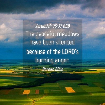 Picture 04 - Jeremiah 25:37 BSB - The peaceful meadows have been silenced because - Bible Verse Picture