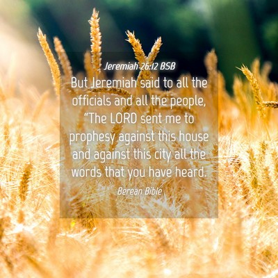 Picture 04 - Jeremiah 26:12 BSB - But Jeremiah said to all the officials and all - Bible Verse Picture