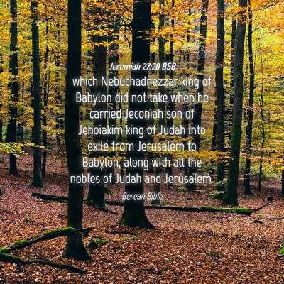 Picture 04 - Jeremiah 27:20 BSB - which Nebuchadnezzar king of Babylon did not take - Bible Verse Picture