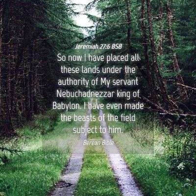 Picture 04 - Jeremiah 27:6 BSB - So now I have placed all these lands under the - Bible Verse Picture