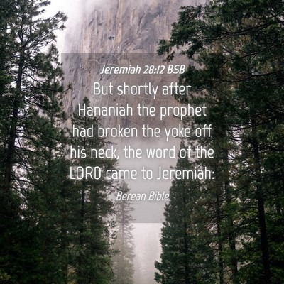 Picture 04 - Jeremiah 28:12 BSB - But shortly after Hananiah the prophet had broken - Bible Verse Picture