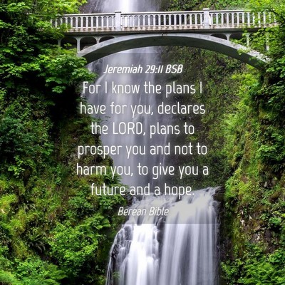 Picture 04 - Jeremiah 29:11 BSB - For I know the plans I have for you, declares the - Bible Verse Picture