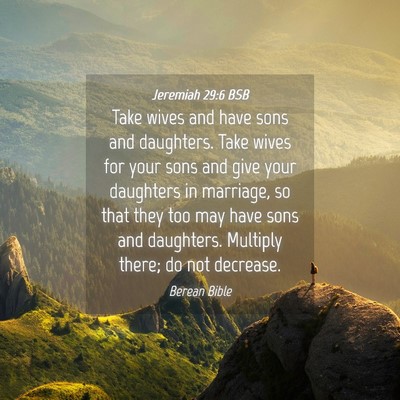 Picture 04 - Jeremiah 29:6 BSB - Take wives and have sons and daughters. Take - Bible Verse Picture