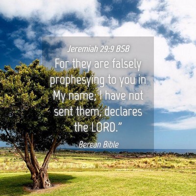 Picture 04 - Jeremiah 29:9 BSB - For they are falsely prophesying to you in My - Bible Verse Picture