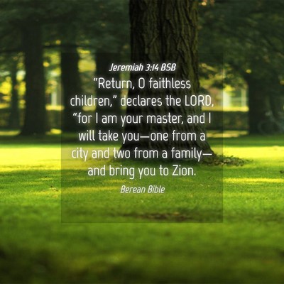 Picture 04 - Jeremiah 3:14 BSB - “Return, O faithless children,” declares the - Bible Verse Picture