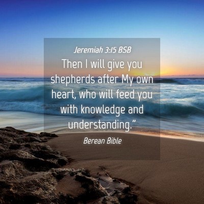 Picture 04 - Jeremiah 3:15 BSB - Then I will give you shepherds after My own - Bible Verse Picture