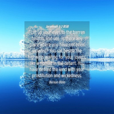 Picture 04 - Jeremiah 3:2 BSB - “Lift up your eyes to the barren heights and - Bible Verse Picture