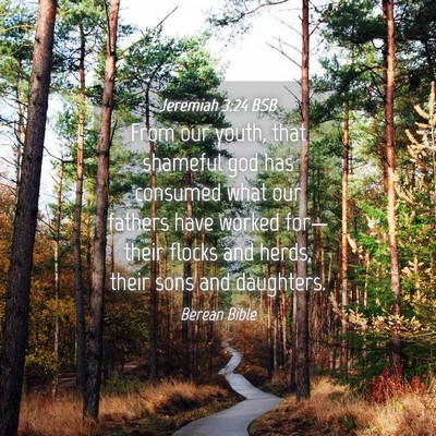 Picture 04 - Jeremiah 3:24 BSB - From our youth, that shameful god has consumed - Bible Verse Picture