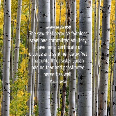 Picture 04 - Jeremiah 3:8 BSB - She saw that because faithless Israel had - Bible Verse Picture