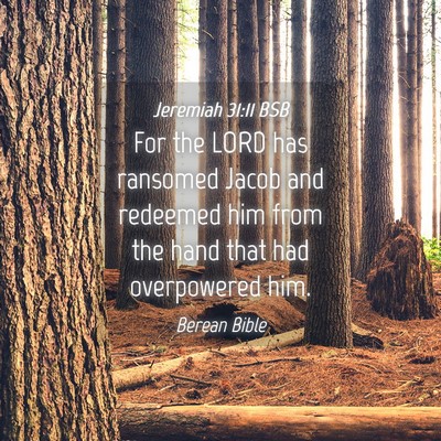 Picture 04 - Jeremiah 31:11 BSB - For the LORD has ransomed Jacob and redeemed him - Bible Verse Picture