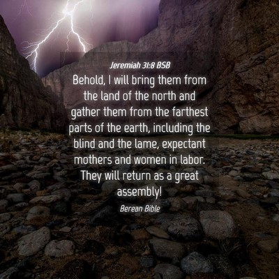 Picture 04 - Jeremiah 31:8 BSB - Behold, I will bring them from the land of the - Bible Verse Picture