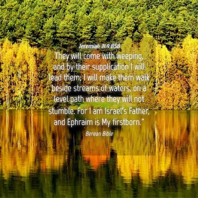 Picture 04 - Jeremiah 31:9 BSB - They will come with weeping, and by their - Bible Verse Picture