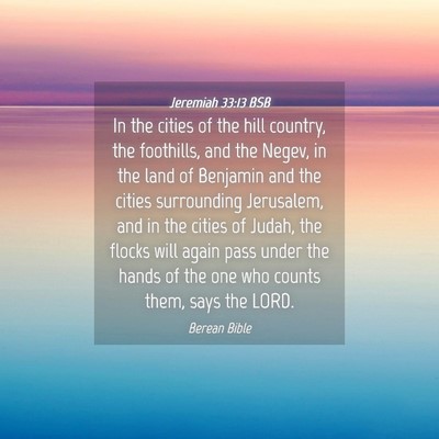 Picture 04 - Jeremiah 33:13 BSB - In the cities of the hill country, the foothills, - Bible Verse Picture