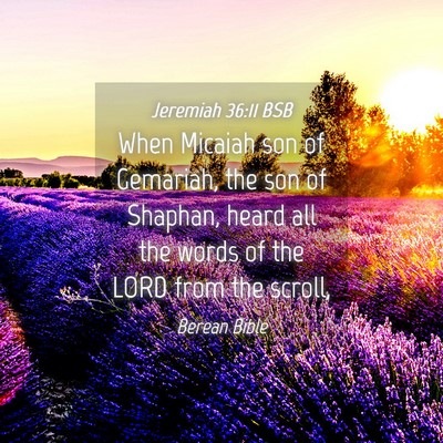 Picture 04 - Jeremiah 36:11 BSB - When Micaiah son of Gemariah, the son of Shaphan, - Bible Verse Picture
