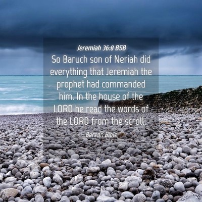 Picture 04 - Jeremiah 36:8 BSB - So Baruch son of Neriah did everything that - Bible Verse Picture
