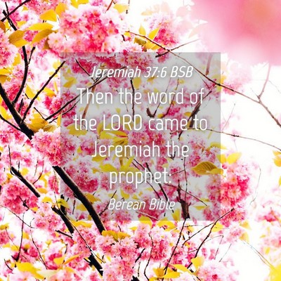 Picture 04 - Jeremiah 37:6 BSB - Then the word of the LORD came to Jeremiah the - Bible Verse Picture