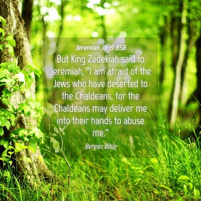 Picture 04 - Jeremiah 38:19 BSB - But King Zedekiah said to Jeremiah, “I am - Bible Verse Picture