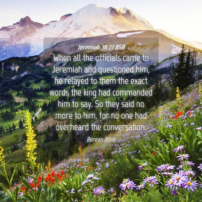 Picture 04 - Jeremiah 38:27 BSB - When all the officials came to Jeremiah and - Bible Verse Picture