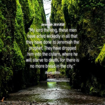 Picture 04 - Jeremiah 38:9 BSB - “My lord the king, these men have acted - Bible Verse Picture